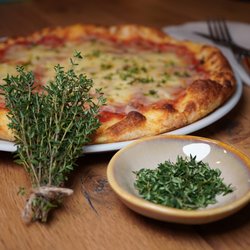 Kräuter-Neuheiten: Duft, Farbe und Aromen überraschen