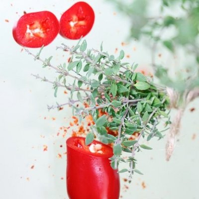 Gemüsepflanzen im Blumenfachgeschäft