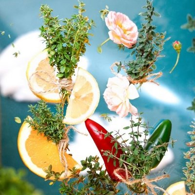 Gemüsepflanzen im Blumenfachgeschäft