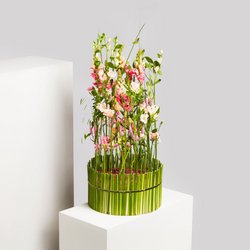 Muttertag weltmeisterlich