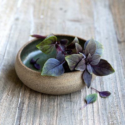 Kräuter für Küche und Garten