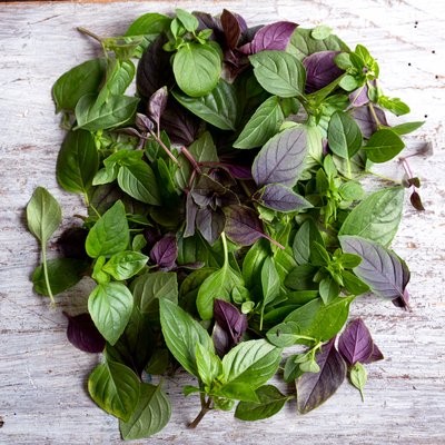 Kräuter für Küche und Garten