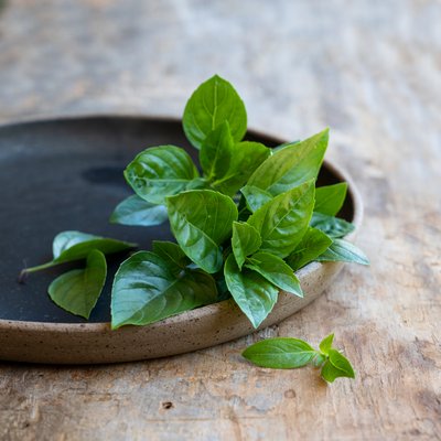 Kräuter für Küche und Garten