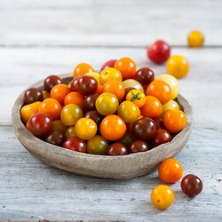 Gemüse und Kräuter-Trends 2026