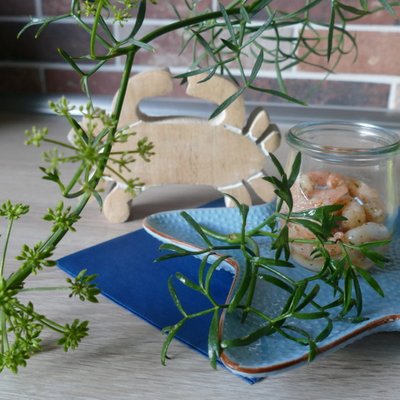 Kräuter für Küche und Garten