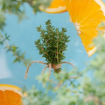 Gemüsepflanzen im Blumenfachgeschäft